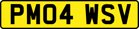 PM04WSV