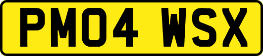 PM04WSX