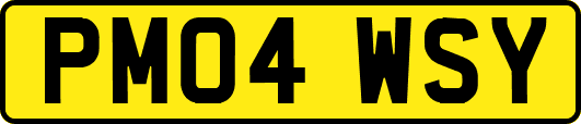 PM04WSY