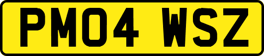 PM04WSZ