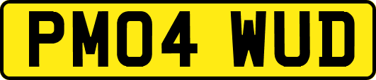 PM04WUD