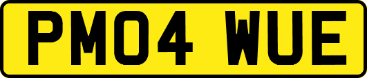 PM04WUE