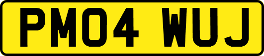 PM04WUJ