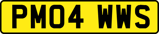 PM04WWS