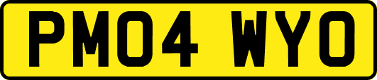 PM04WYO
