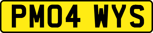 PM04WYS