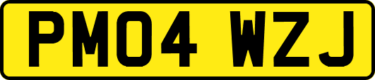 PM04WZJ