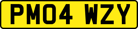 PM04WZY