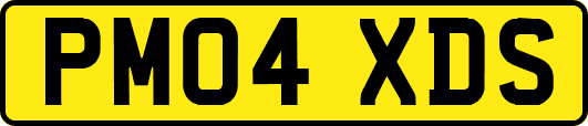 PM04XDS