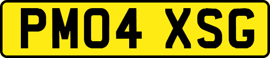 PM04XSG