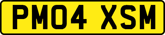 PM04XSM