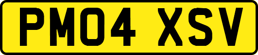 PM04XSV