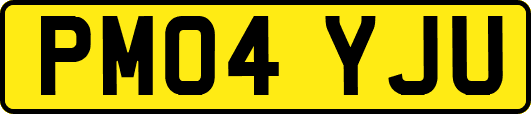 PM04YJU