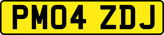 PM04ZDJ