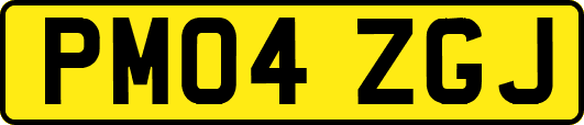 PM04ZGJ