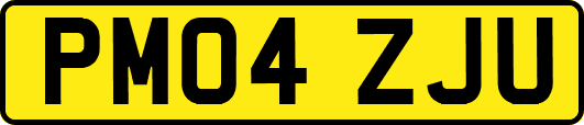 PM04ZJU