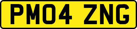 PM04ZNG