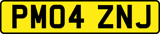 PM04ZNJ