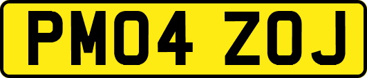PM04ZOJ