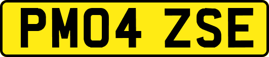 PM04ZSE
