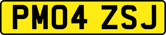 PM04ZSJ