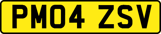 PM04ZSV