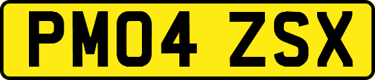 PM04ZSX