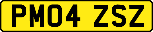 PM04ZSZ