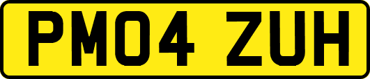 PM04ZUH