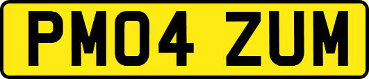 PM04ZUM