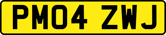 PM04ZWJ