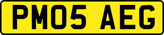 PM05AEG