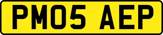 PM05AEP