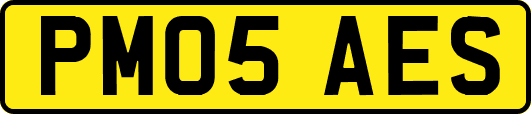 PM05AES