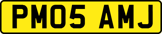 PM05AMJ
