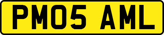 PM05AML