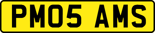 PM05AMS