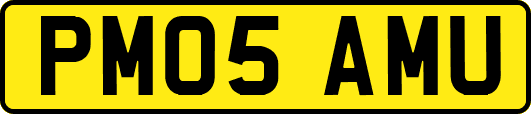 PM05AMU