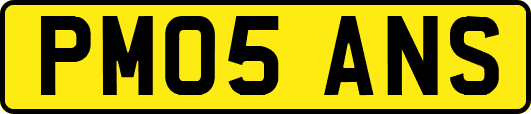 PM05ANS