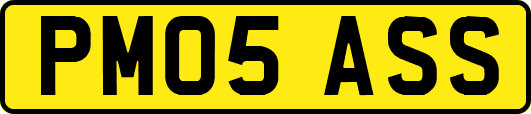 PM05ASS