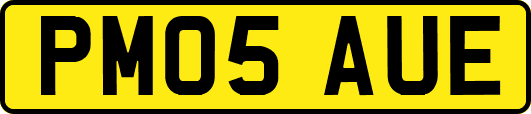 PM05AUE