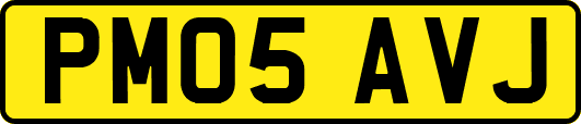 PM05AVJ