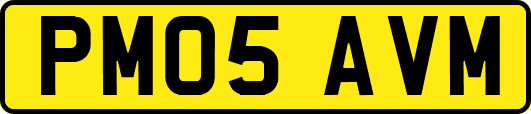 PM05AVM