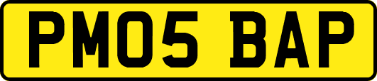PM05BAP