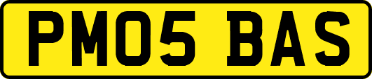 PM05BAS