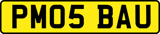 PM05BAU