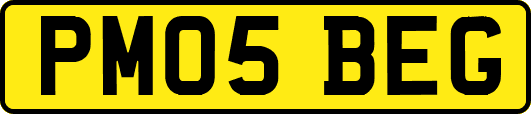PM05BEG