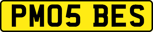 PM05BES