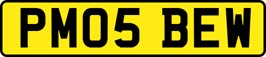 PM05BEW