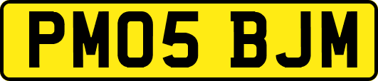 PM05BJM